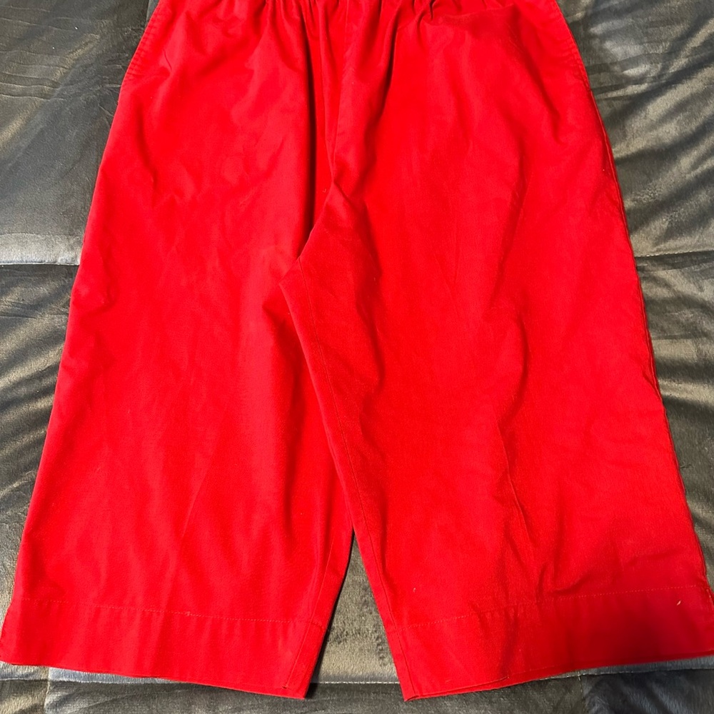 Karen Scott Sport Red Pants